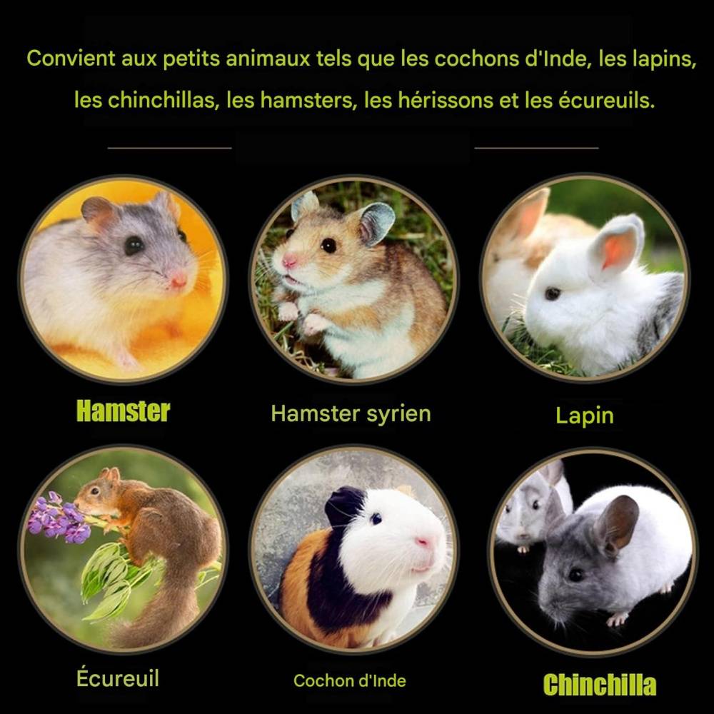DtopbuyAge - Tapis d'herbe pour lapin, hamster, cochon, perroquet DtopbuyAge - Image 4