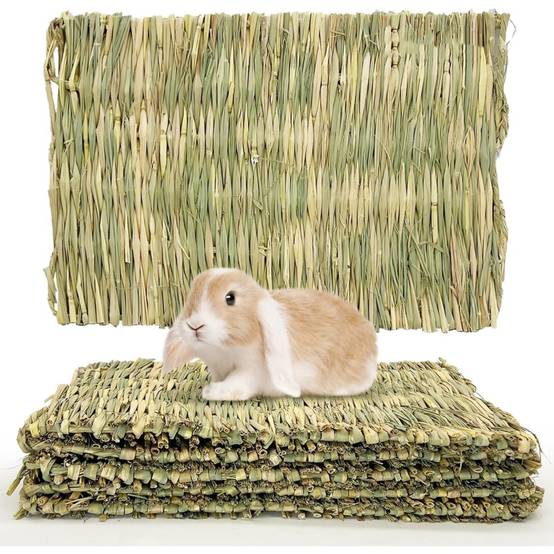 DtopbuyAge - Tapis d'herbe pour lapin, hamster, cochon, perroquet DtopbuyAge - Image 1