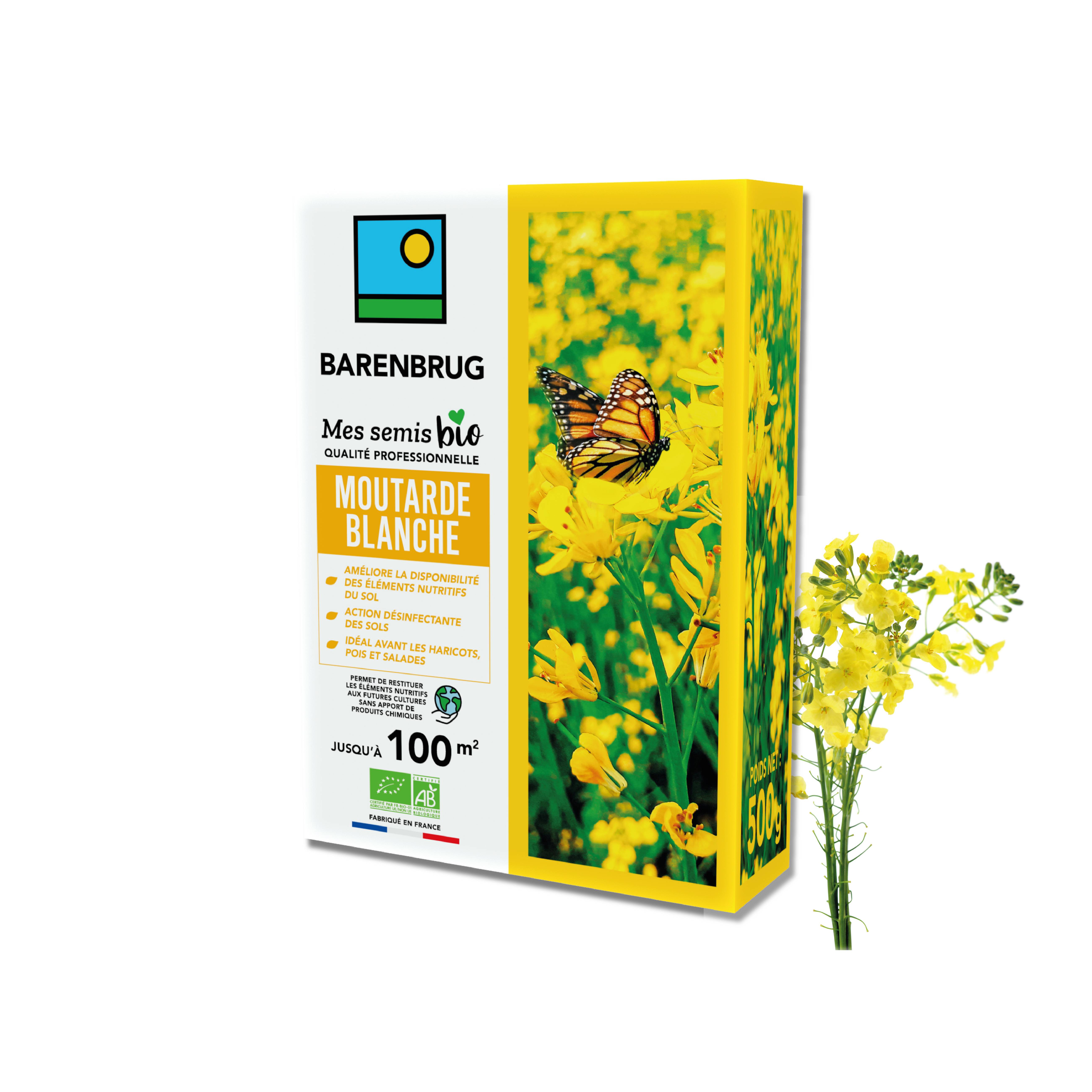 Moutarde blanche - Améliore Disponibilité Éléments Nutritifs et Restitue aux Futures Cultures - Désinfecte Sol - 500G - BARENBRUG - Image 1