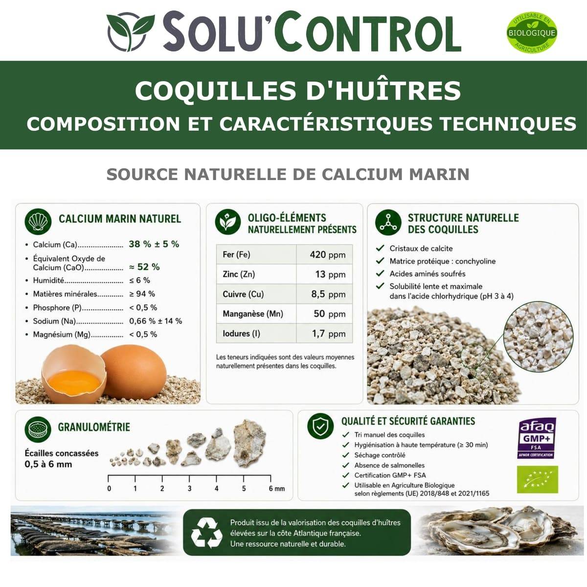 3 kg Écailles de Coquilles d'Huîtres pour Volailles (Poules, oies, ...) - SOLU'CONTROL - Aliment Minéral Naturel, 38% Calcium - Image 2