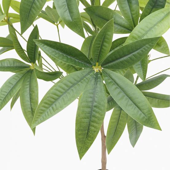 Plante artificielle pachira 120cm - Image 4