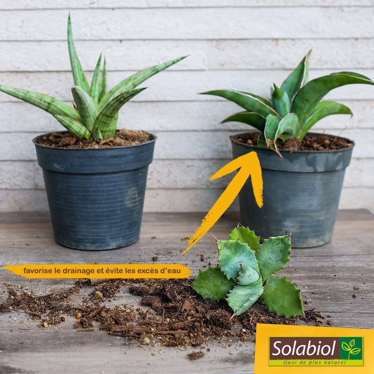 Solabiol - Terreau Cactées et plantes grasses 6L SOLABIOL - Image 2