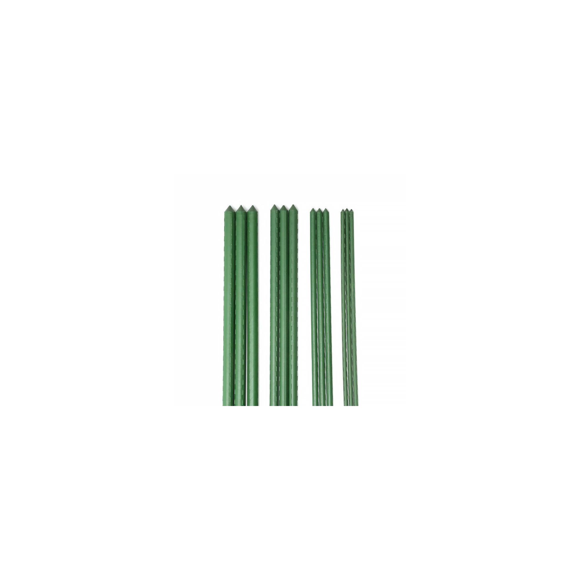 Sans Marque - Lot de 10 tuteurs pour plantes et légumes - En fer - Hauteur : 120 cm - Image 2