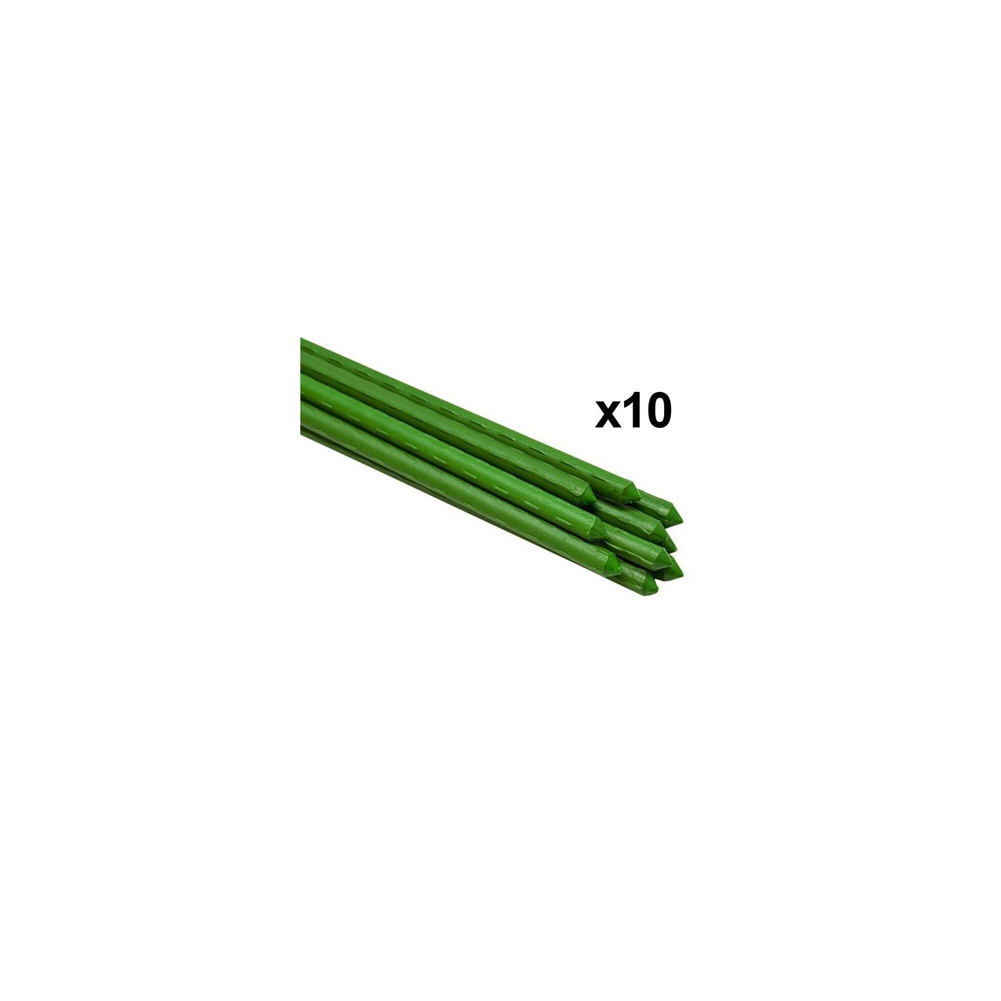 Sans Marque - Lot de 10 tuteurs pour plantes et légumes - En fer - Hauteur : 120 cm - Image 4