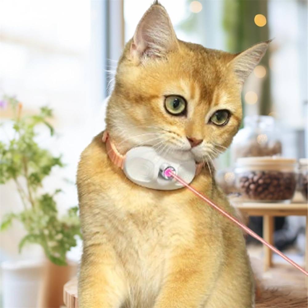 DtopbuyAge - Collier pour chat(Rose) DtopbuyAge - Image 4