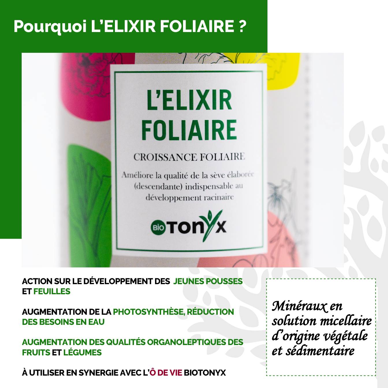 Engrais Liquide Biologique Croissance Foliaire ELIXIR FOLIAIRE - 1L - BioTonyx - Image 3