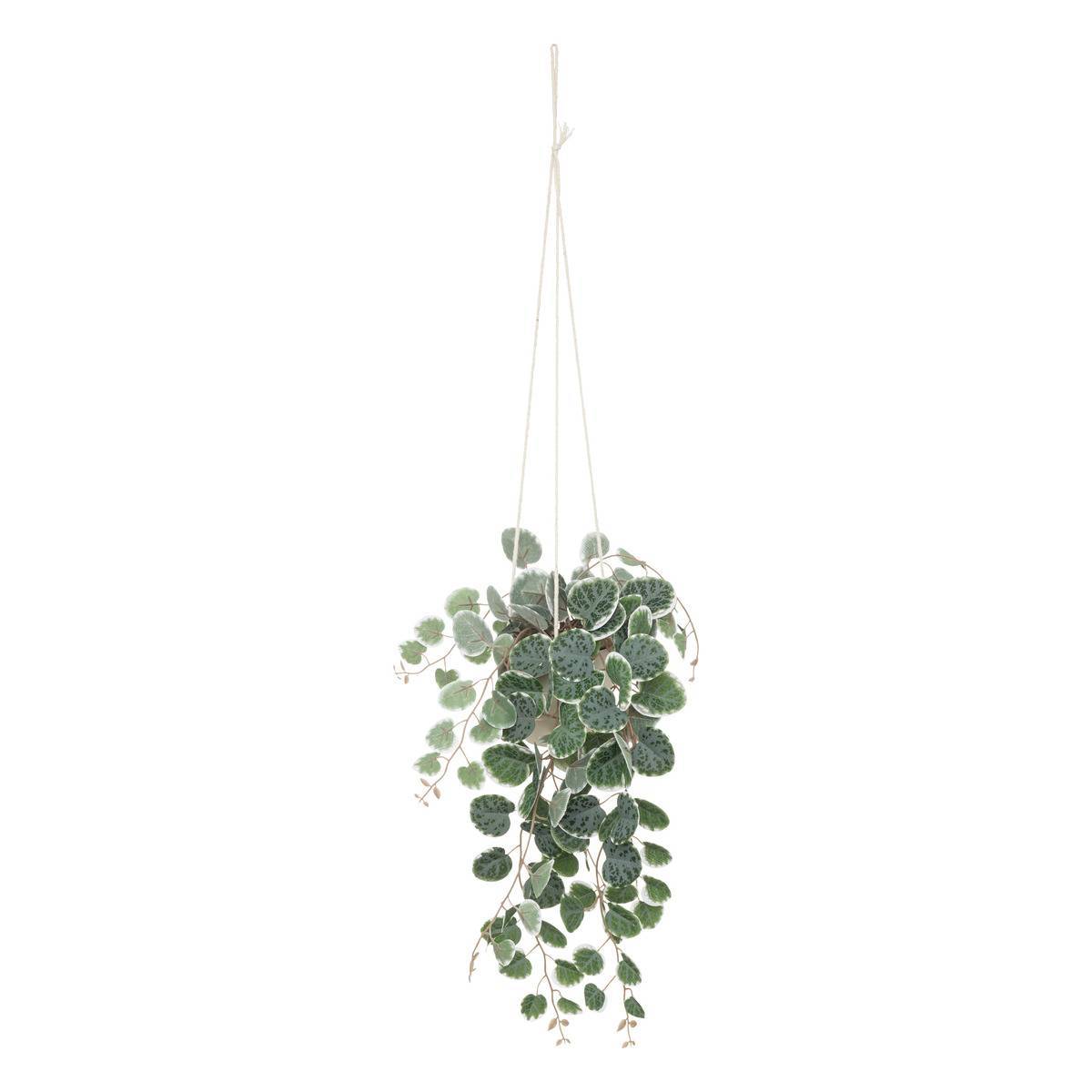 Atmosphera - Plante artificielle suspendue "Lourmarin" pot ciment H80cm - Atmosphera Créateur d'intérieur - Imagen 1