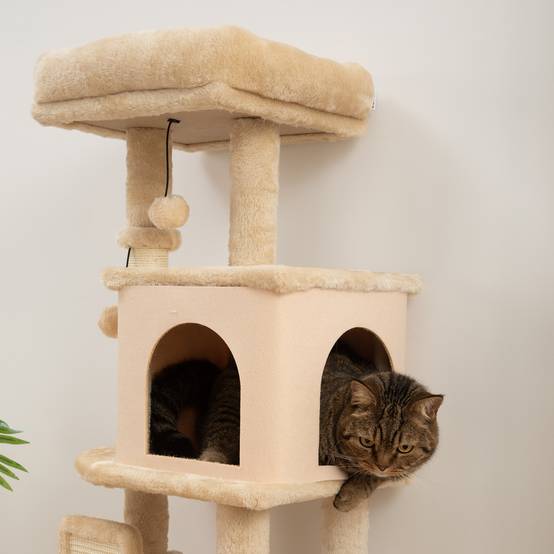 Arbre à Chat Compact en Bois avec Niche et Plateformes Griffoir 104 cm Beige - ComfortXL Outdoor Living - Image 10