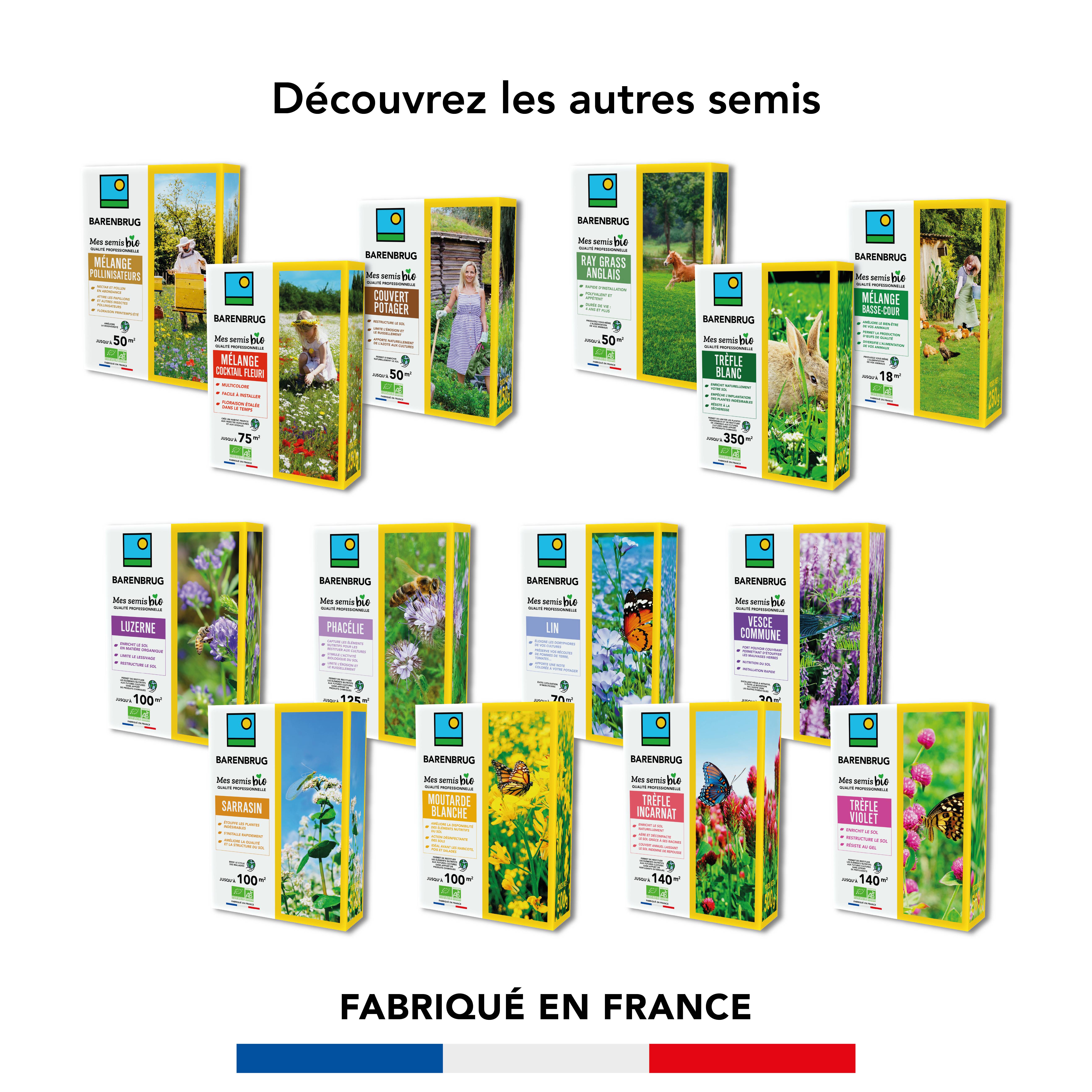 Mélange Cocktail fleuri - Multicolore - Facile à Installer - Floraison Étalée - Crée un Habitat Propice aux Insectes & Oiseaux - 250G - BARENBRUG - Image 5