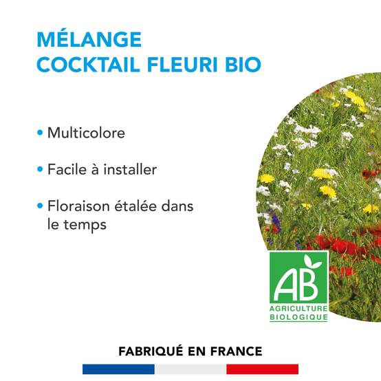 Mélange Cocktail fleuri - Multicolore - Facile à Installer - Floraison Étalée - Crée un Habitat Propice aux Insectes & Oiseaux - 250G - BARENBRUG - Image 2