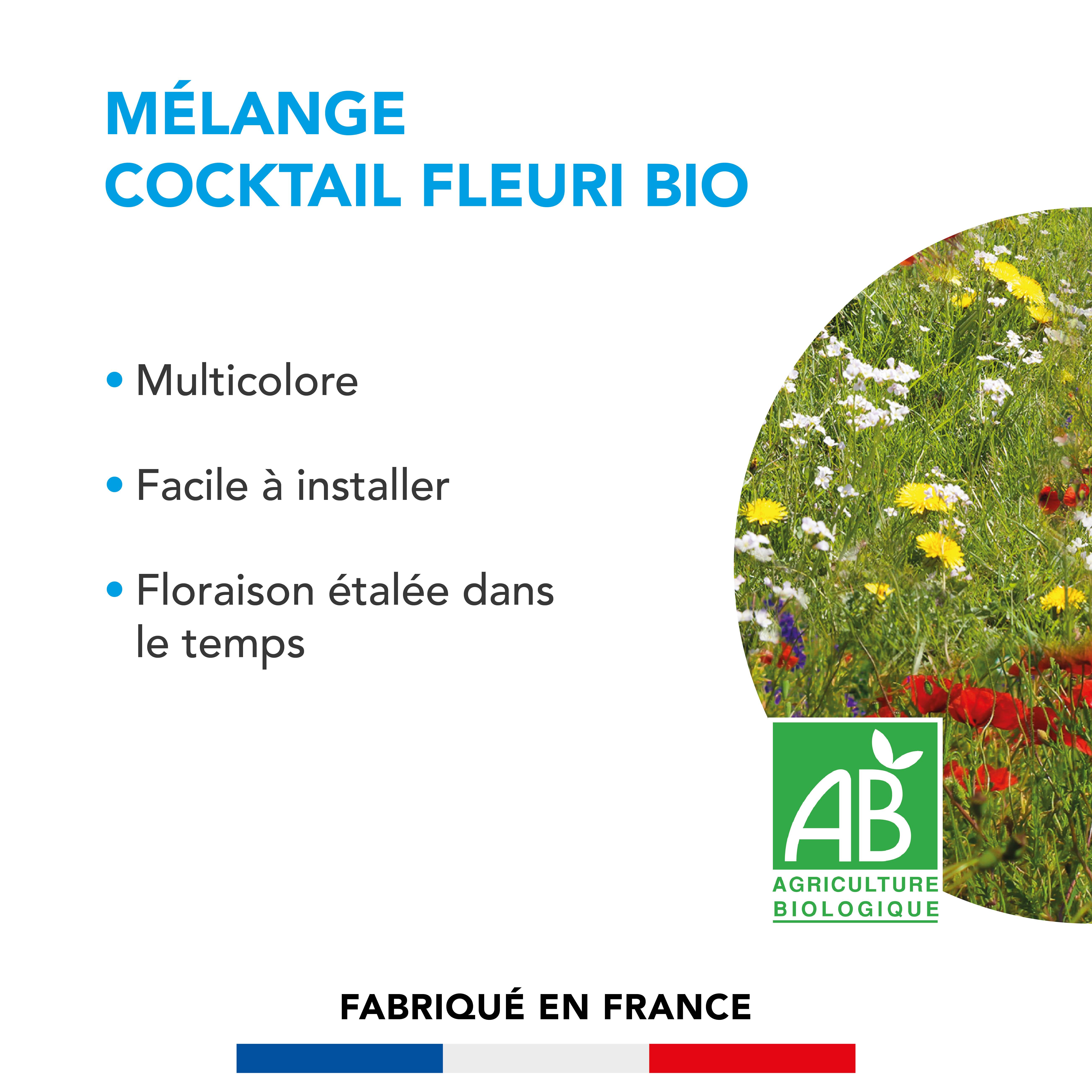 Mélange Cocktail fleuri - Multicolore - Facile à Installer - Floraison Étalée - Crée un Habitat Propice aux Insectes & Oiseaux - 250G - BARENBRUG - Image 2