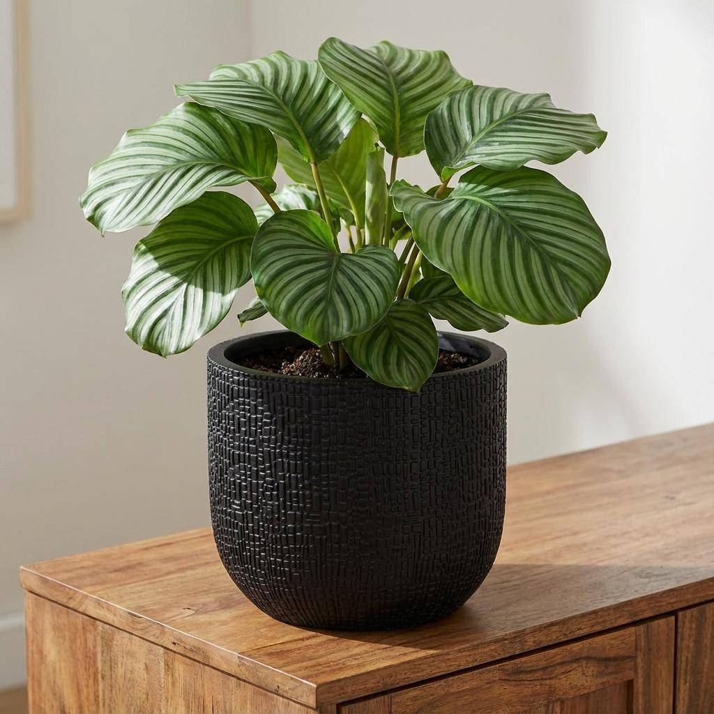 Pot de fleurs anthracite - D.24cm x H.21cm - Image 5