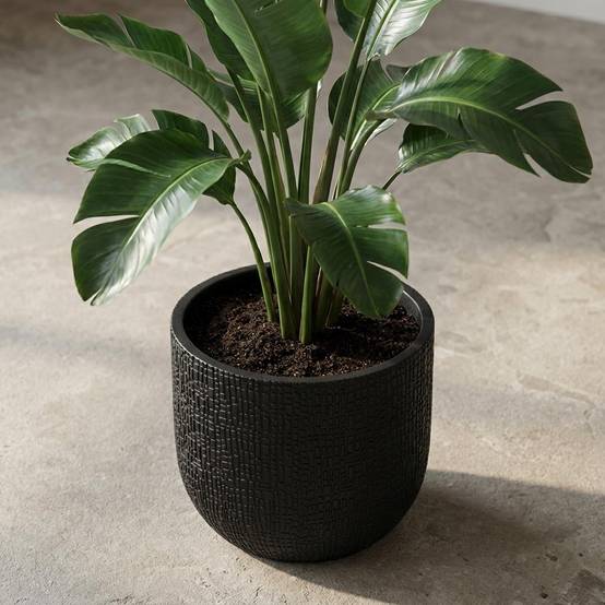 Pot de fleurs anthracite - D.24cm x H.21cm - Image 4