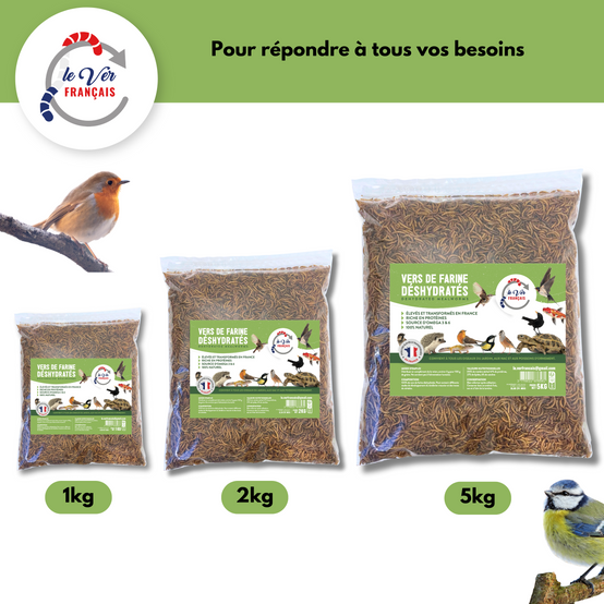 Vers de farine déshydratés 1kg - Le Ver Français - Image 3