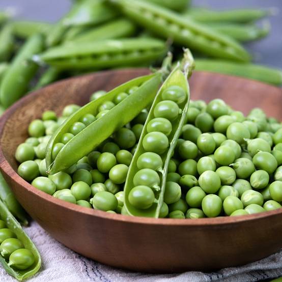 Promesse de Fleurs - Pois demi-ramant Sénateur à grains ridés - Pisum sativum le sachet de 250-350 graines environ (100g)