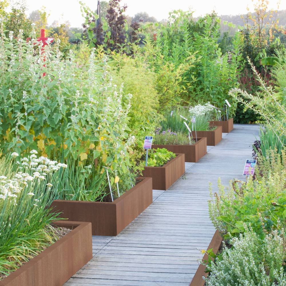 Carré potager Triangle Corten - H.30cm - 1400 x 858 x 300 mm - Imagen 6