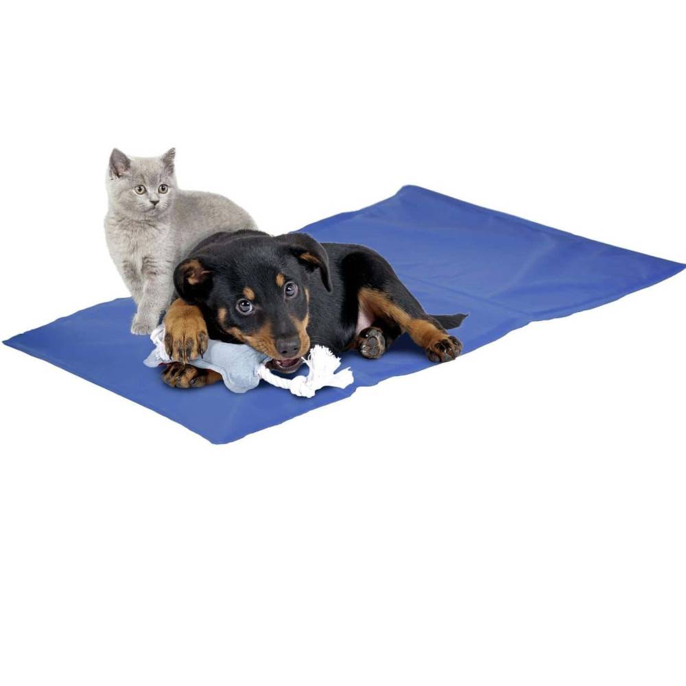 Tapis rafraîchissant FRESK S 50 x 40 cm pour chien - Image 1
