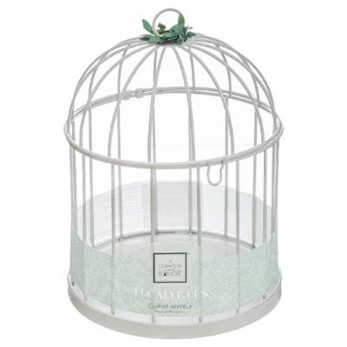 Coffret de Fragrances "Cage" 20cm Eucalyptus - Image 4