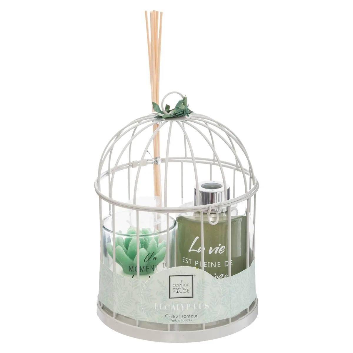 Coffret de Fragrances "Cage" 20cm Eucalyptus - Image 1