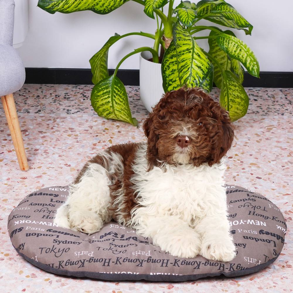 Ferplast - FERPLAST Panier Chien Chat - Coussin pour Chien Chat - Lavable en Machine - Tapis Chien Chat pour Niches et Voitures - Lit pour Chien Chat - Relax, - Imagen 5