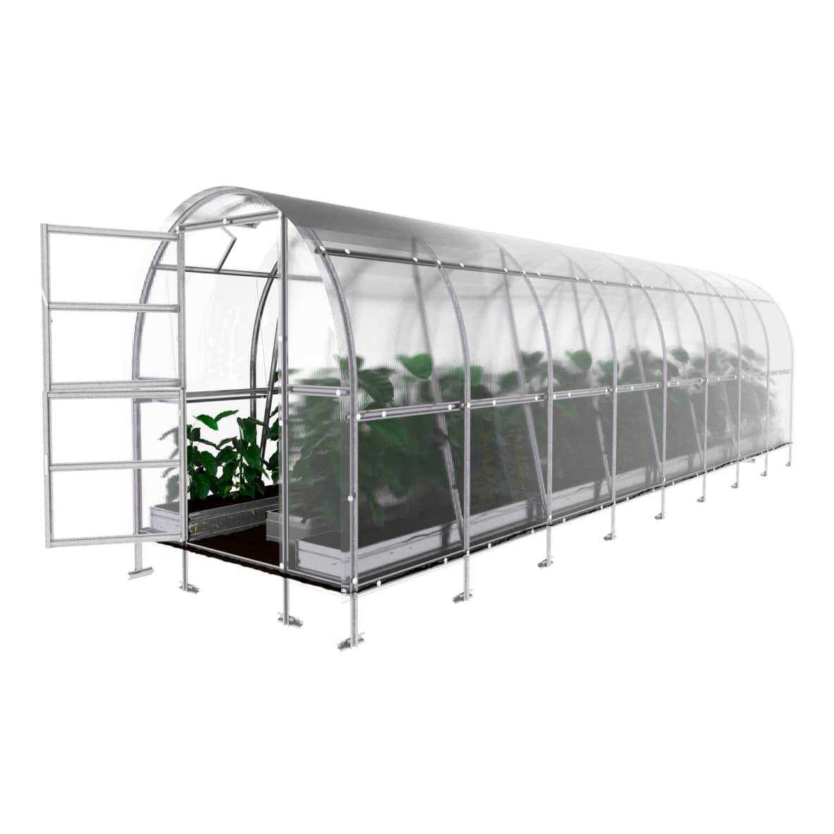KLASIKA GREENHOUSES - Serre KLASIKA SLIM 2 x 8 m (16 m²) , 4 mm avec revêtement en polycarbonate - Image 4