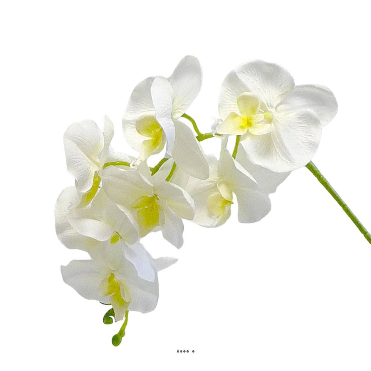 Artificielles - Orchidée Tao factice H105 cm 8 fleurons 5 boutons qualité Pro Crème - couleur: Crème - Imagen 2