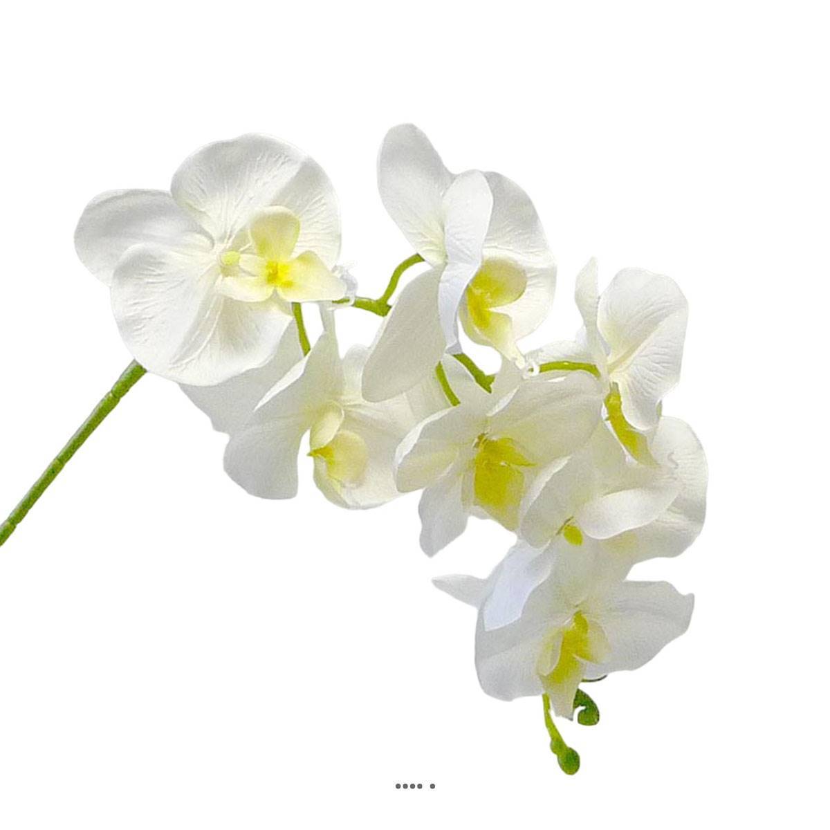 Artificielles - Orchidée Tao factice H105 cm 8 fleurons 5 boutons qualité Pro Crème - couleur: Crème - Imagen 1