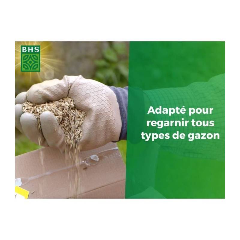BHS - Gazon Regarnissage Terrain Sec - Bhs - 1kg | 40 M² | Résistant Et Durable, Avec Excellente Pérennité Et Tolérance Aux Piét - Imagen 3