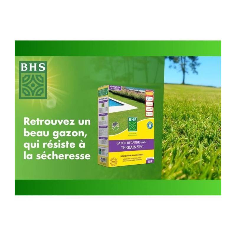 BHS - Gazon Regarnissage Terrain Sec - Bhs - 1kg | 40 M² | Résistant Et Durable, Avec Excellente Pérennité Et Tolérance Aux Piét - Imagen 2
