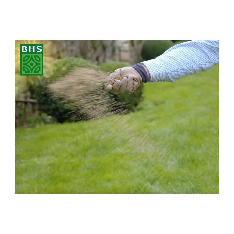 BHS - Gazon Regarnissage Terrain Sec - Bhs - 1kg | 40 M² | Résistant Et Durable, Avec Excellente Pérennité Et Tolérance Aux Piét - Imagen 4