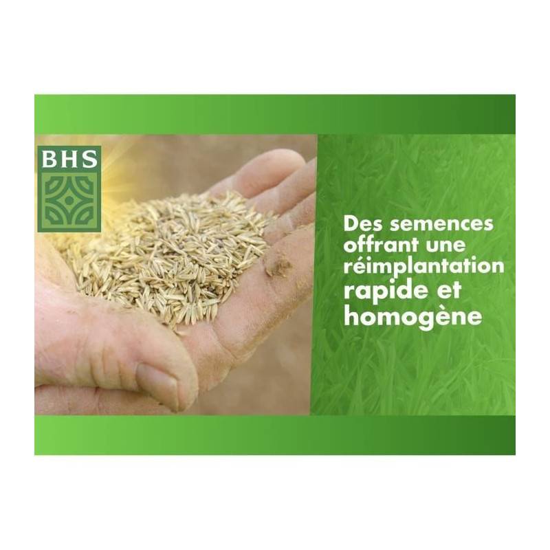 BHS - Gazon Regarnissage Terrain Sec - Bhs - 1kg | 40 M² | Résistant Et Durable, Avec Excellente Pérennité Et Tolérance Aux Piét - Imagen 6