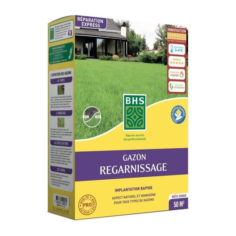 BHS - Gazon Regarnissage Terrain Sec - Bhs - 1kg | 40 M² | Résistant Et Durable, Avec Excellente Pérennité Et Tolérance Aux Piét - Imagen 1