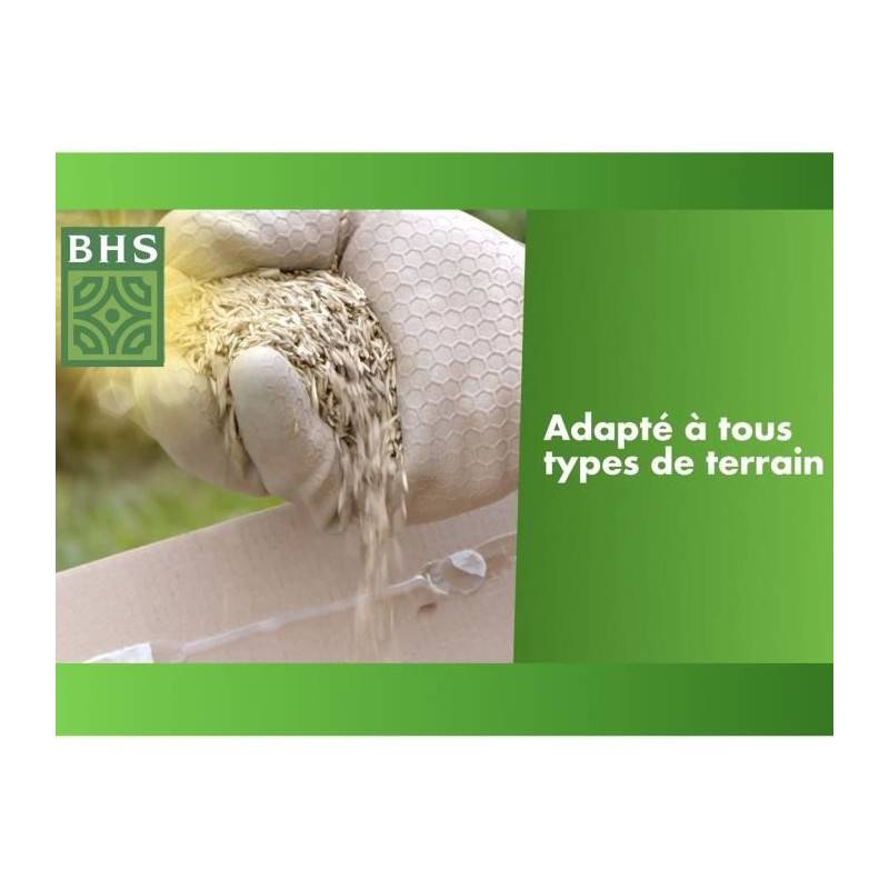 BHS - Gazon Regarnissage Terrain Sec - Bhs - 1kg | 40 M² | Résistant Et Durable, Avec Excellente Pérennité Et Tolérance Aux Piét - Imagen 5