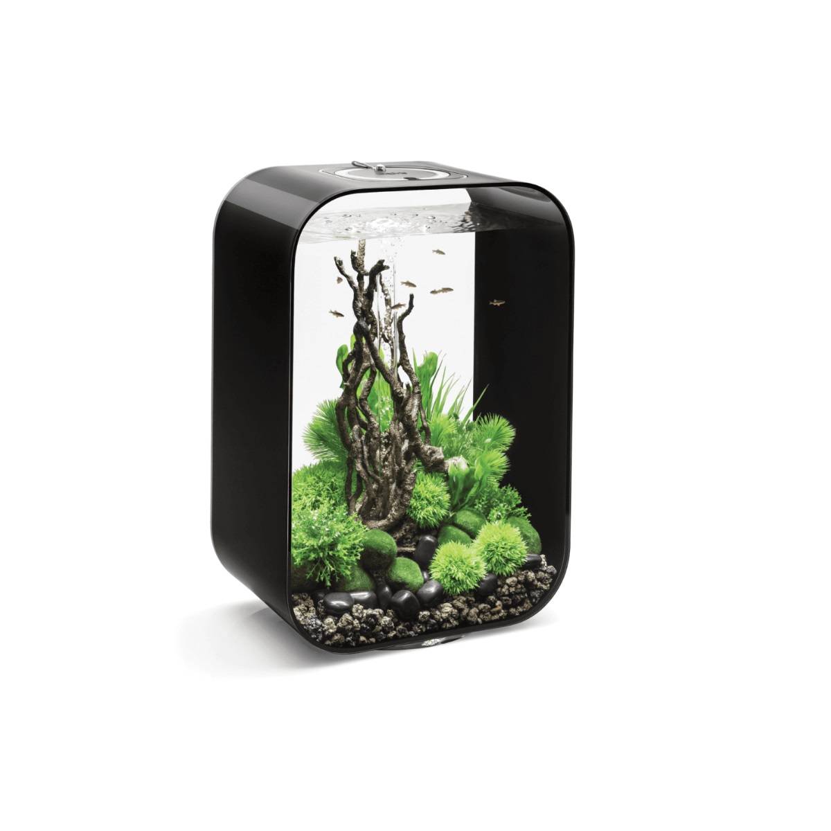Oase - Aquarium 45l contours noir LIFE45MCR BLACK Oase - Image 1