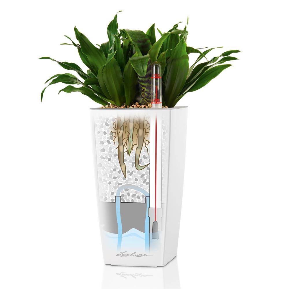 Lechuza - Pot de table Mini-Cubi - kit complet, rouge scarlet brillant 18 cm Lechuza - Imagen 4