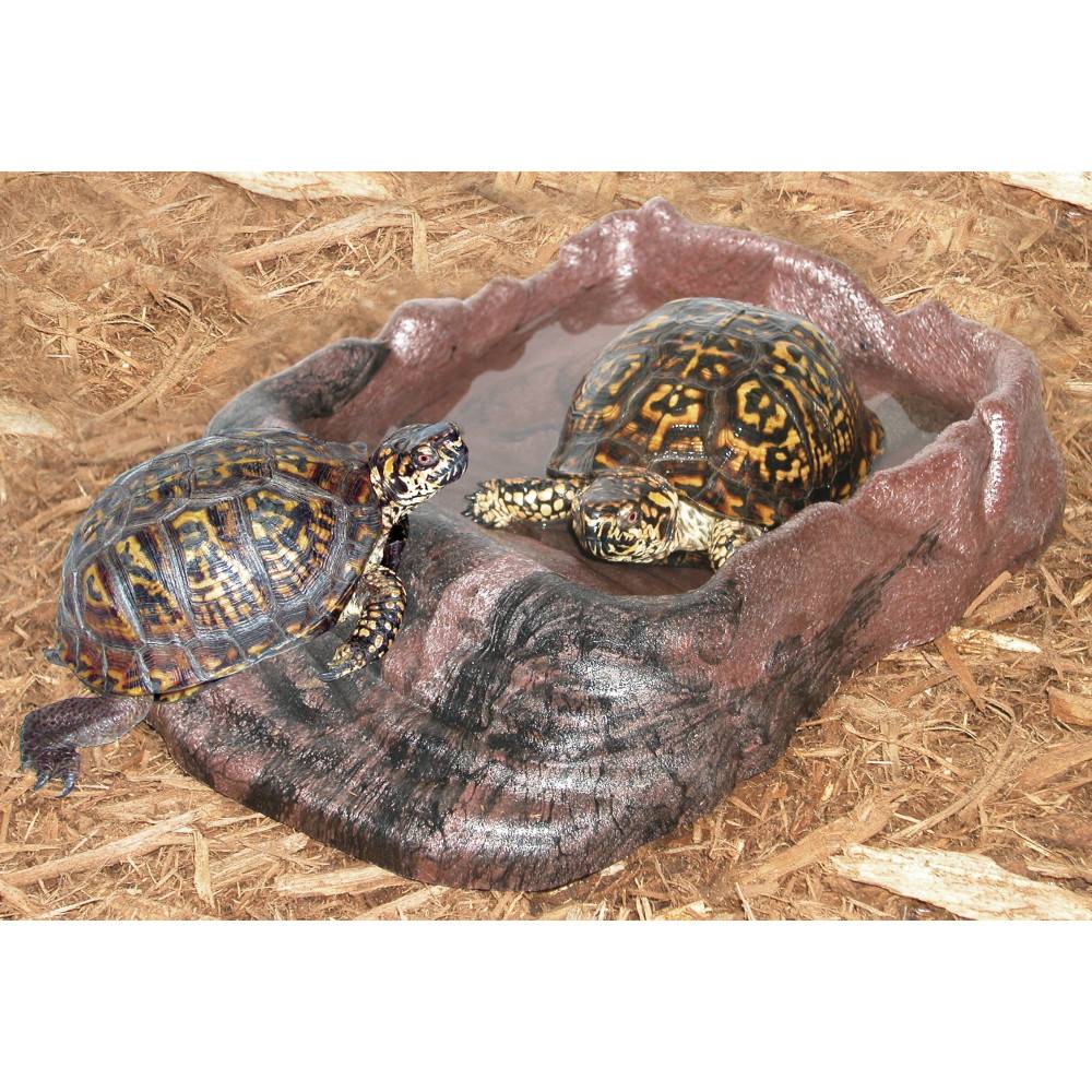 Zoomed - Baignoire Reptiramp XL pour tortues - Imagen 6