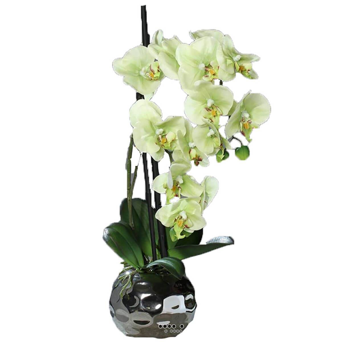 Artificielles - Orchidée factice 2 hampes en boule ceramique Argent H50cm Crème vert - couleur: Crème vert - Imagen 1