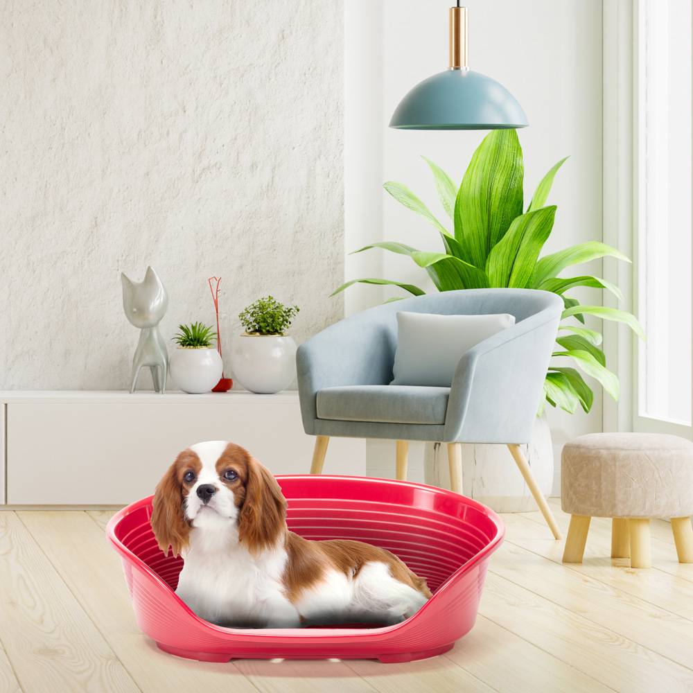 Ferplast - FERPLAST - Panier Chien Panier Chat  - Lit pour Chien en Plastique Medium - 100% Plastique Recyclé - Lit pou Chat Lavable - Respirant  Antidérapant - - Imagen 4