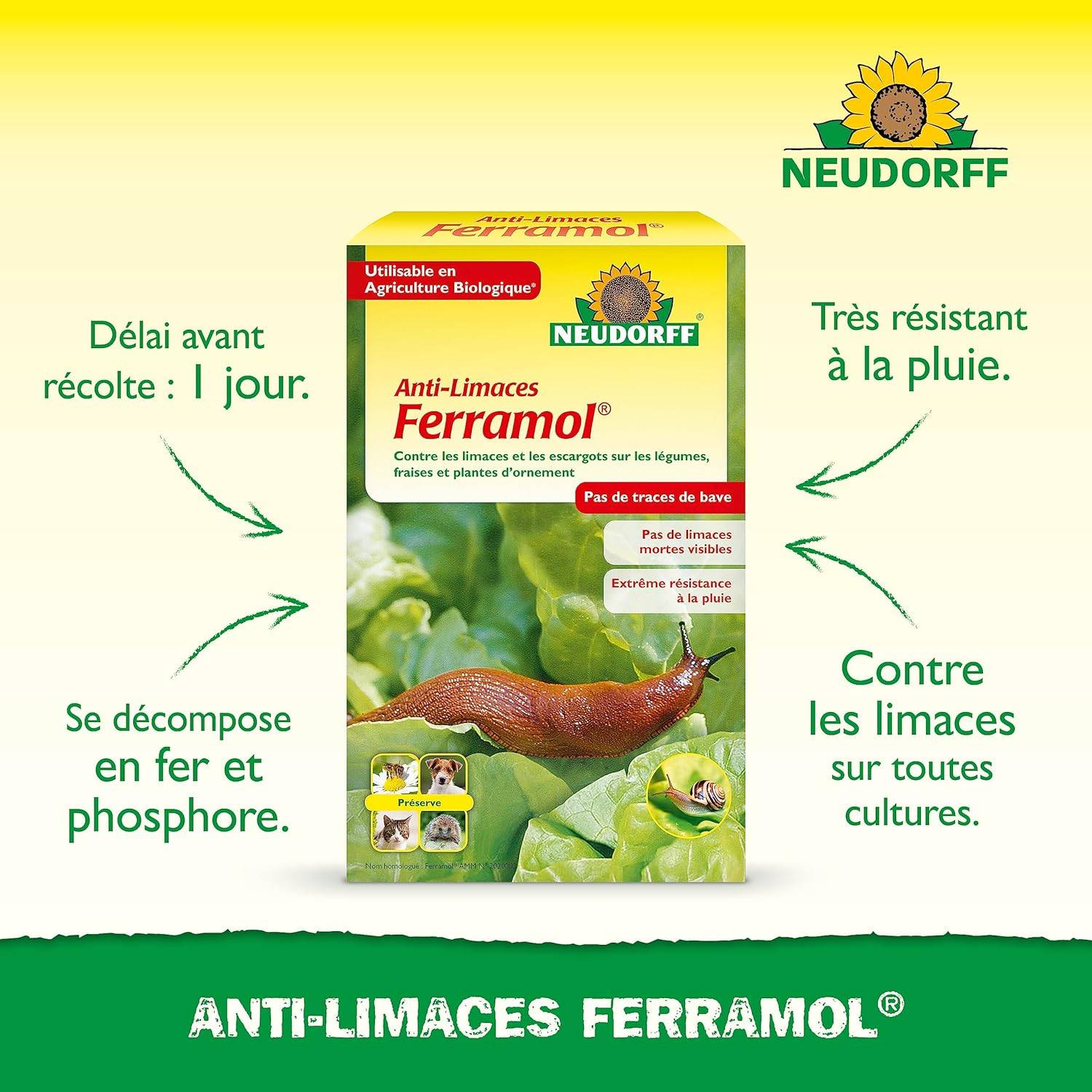 NEUDORFF - Anti-Limaces Ferramol | Protection contre les escargots dans jardin et potager. Approprié pour l'agriculture biologique et sans danger - Image 2