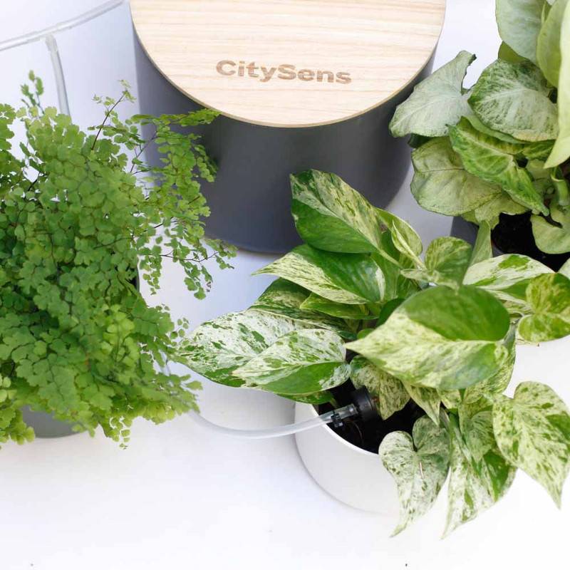 Système d'irrigation automatique par goutte-à-goutte CitySens avec réservoir noir - Image 2