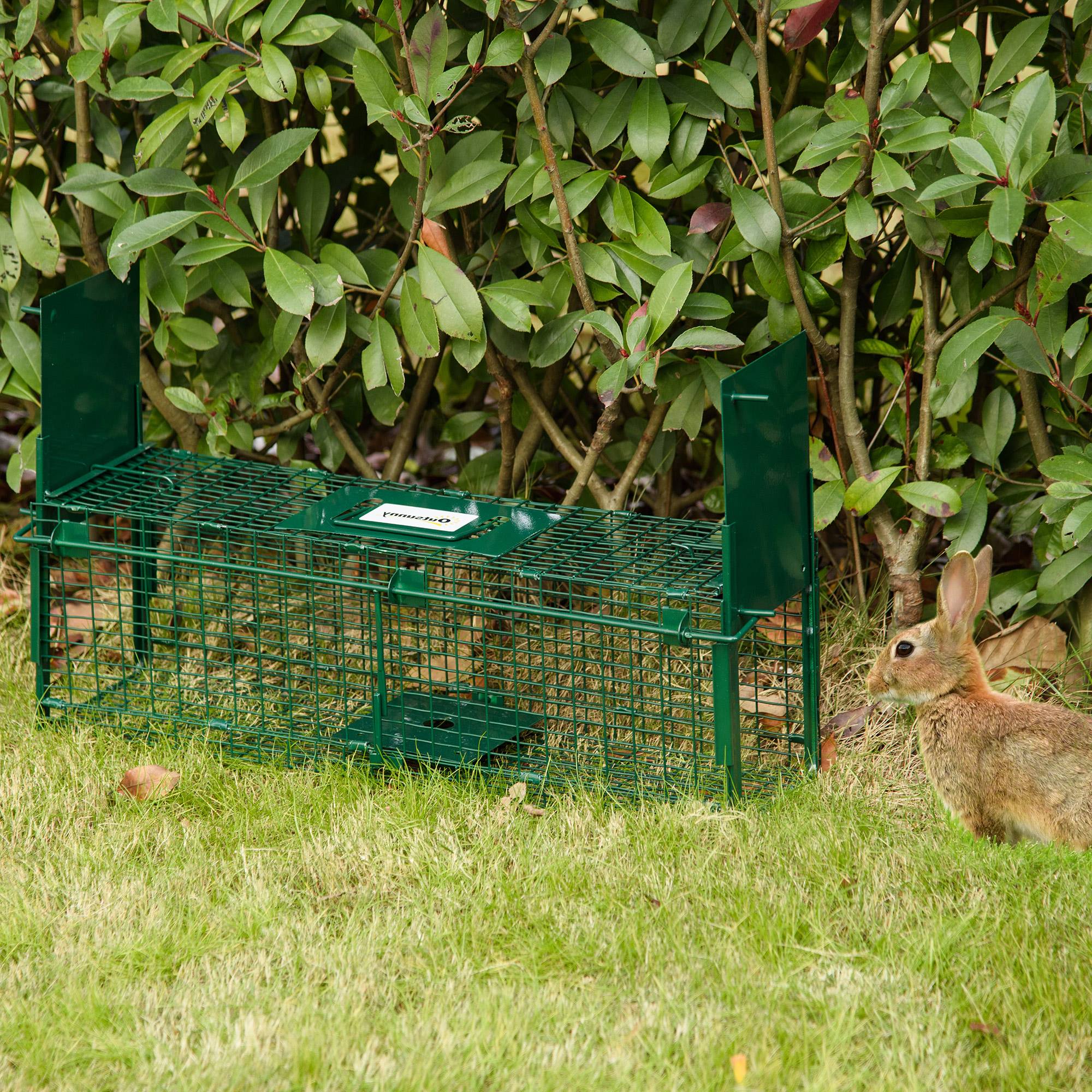 Piège Vivant Cage Attrape 60 x 18 x 20 cm Piège Fouine pour Martres, Rats, Souris - 2 entrées + poignée - métal vert - Image 3