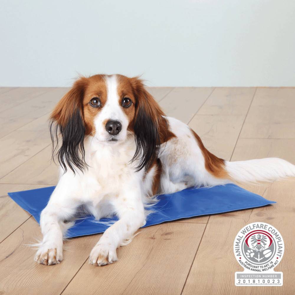 Trixie - Trixie - Matelas rafraîchissant S 40 x 30 cm bleu pour chien - Image 2