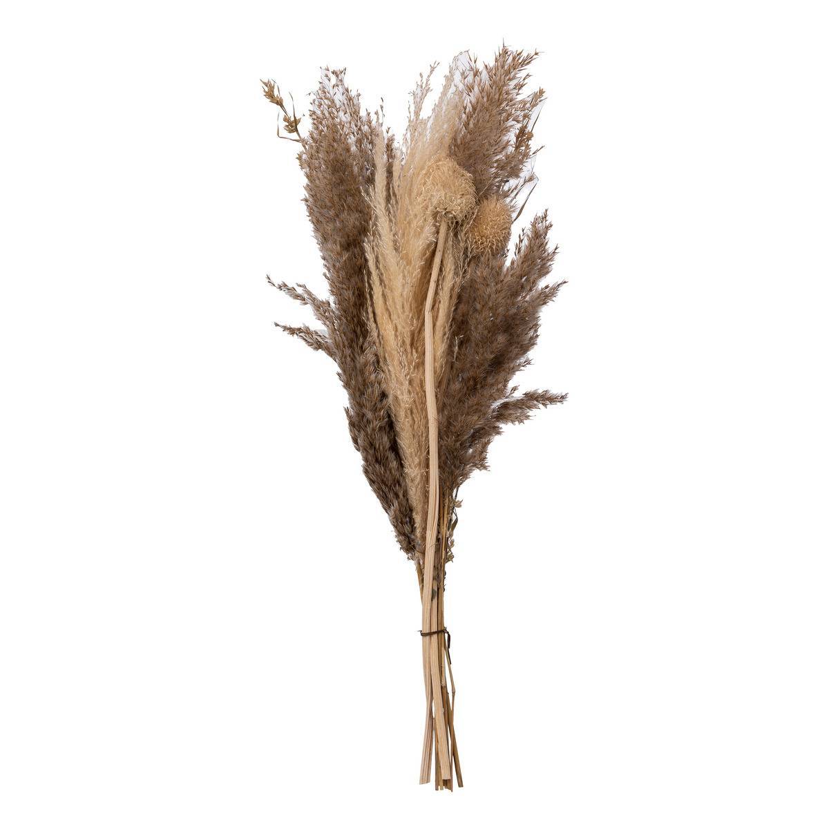 Atmosphera - Bouquet de pampas séchées "Ori" blanc ivoire H58cm - Atmosphera Créateur d'intérieur - Image 1