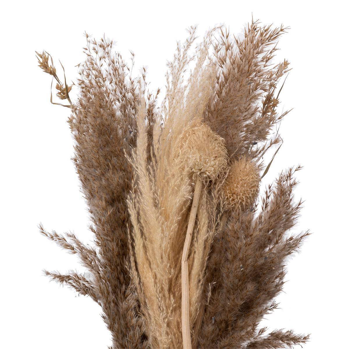 Atmosphera - Bouquet de pampas séchées "Ori" blanc ivoire H58cm - Atmosphera Créateur d'intérieur - Imagen 2