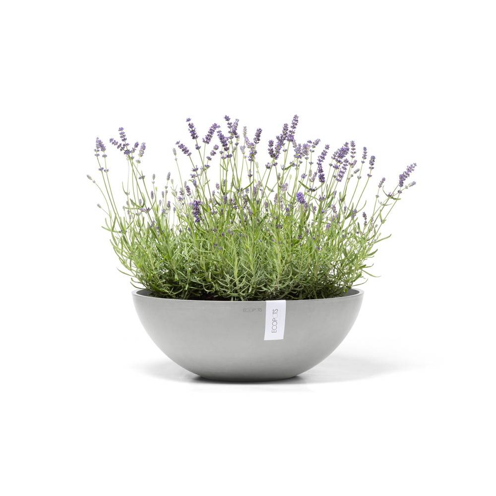 Ecopots - Pot Rond Vienna 50 Blanc Gris - Ø 50 x H. 18 cm - 22,3 L ECOPOTS - Imagen 2