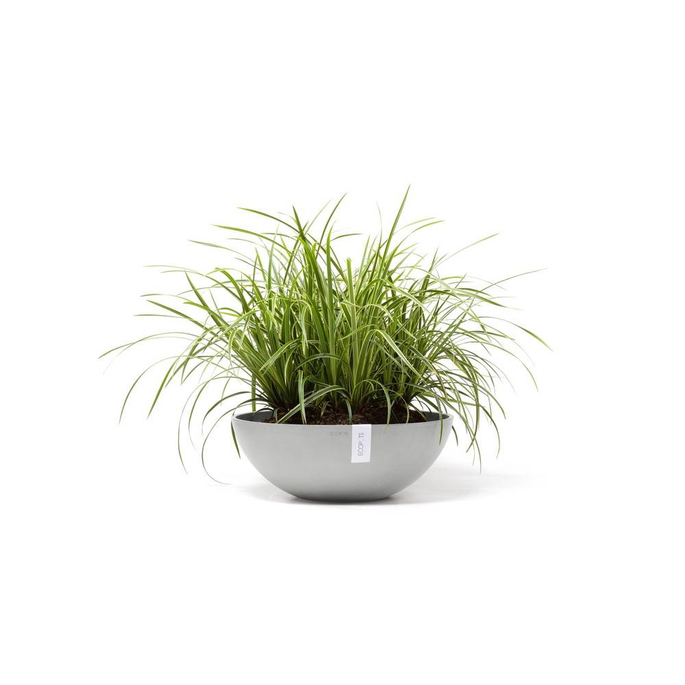 Ecopots - Pot Rond Vienna 50 Blanc Gris - Ø 50 x H. 18 cm - 22,3 L ECOPOTS - Imagen 1
