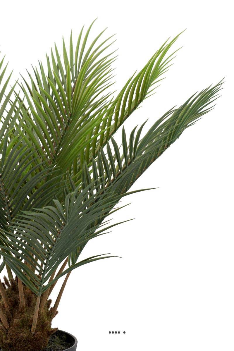 Artificielles - Palmier Cycas artificiel en pot, H 60 cm, D 60 cm - Imagen 3