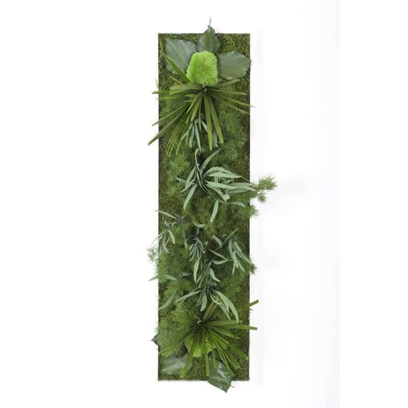 Tableau Végétal Stabilisé Hakoniwa - Tableau Végétal - Décoration d'Intérieur - 70*20 cm - Image 1