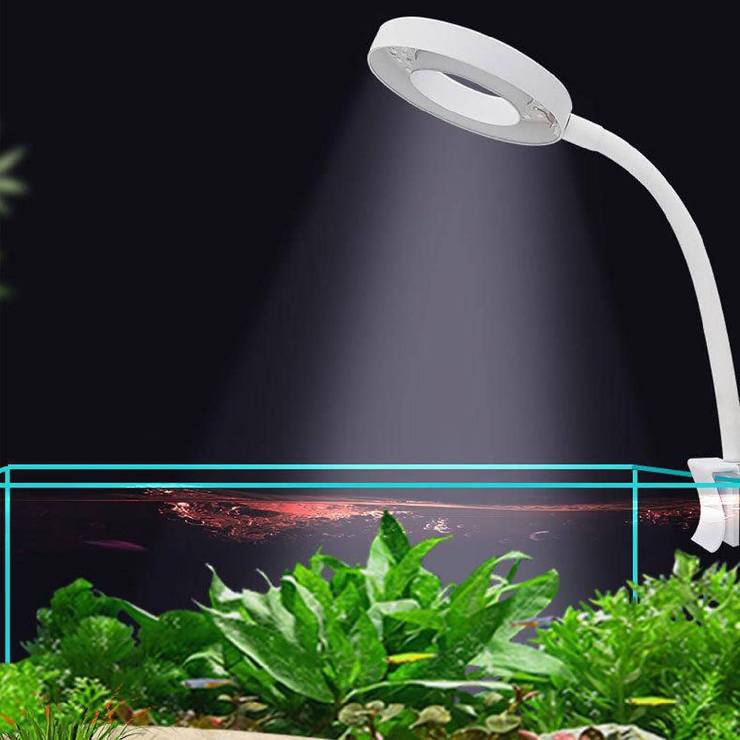 DtopbuyAge - Lampe d'Aquarium 8W Réglable DtopbuyAge - Image 4