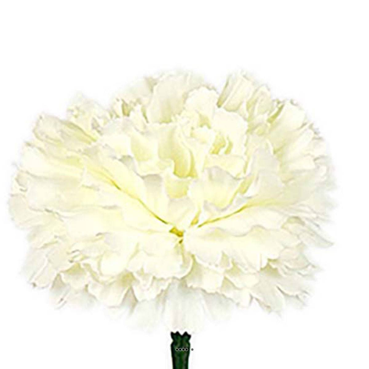 Artificielles - Oeillet artificiel H 55 cm superbe tête tissu D 8,50 cm Crème - couleur: Crème - Imagen 3